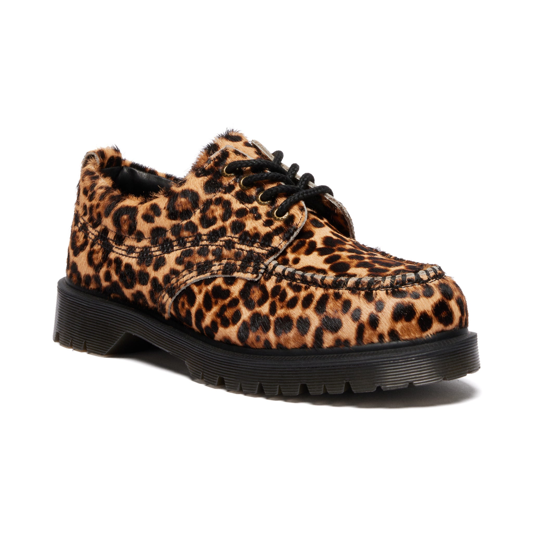 Lowell - Archive Leopard
