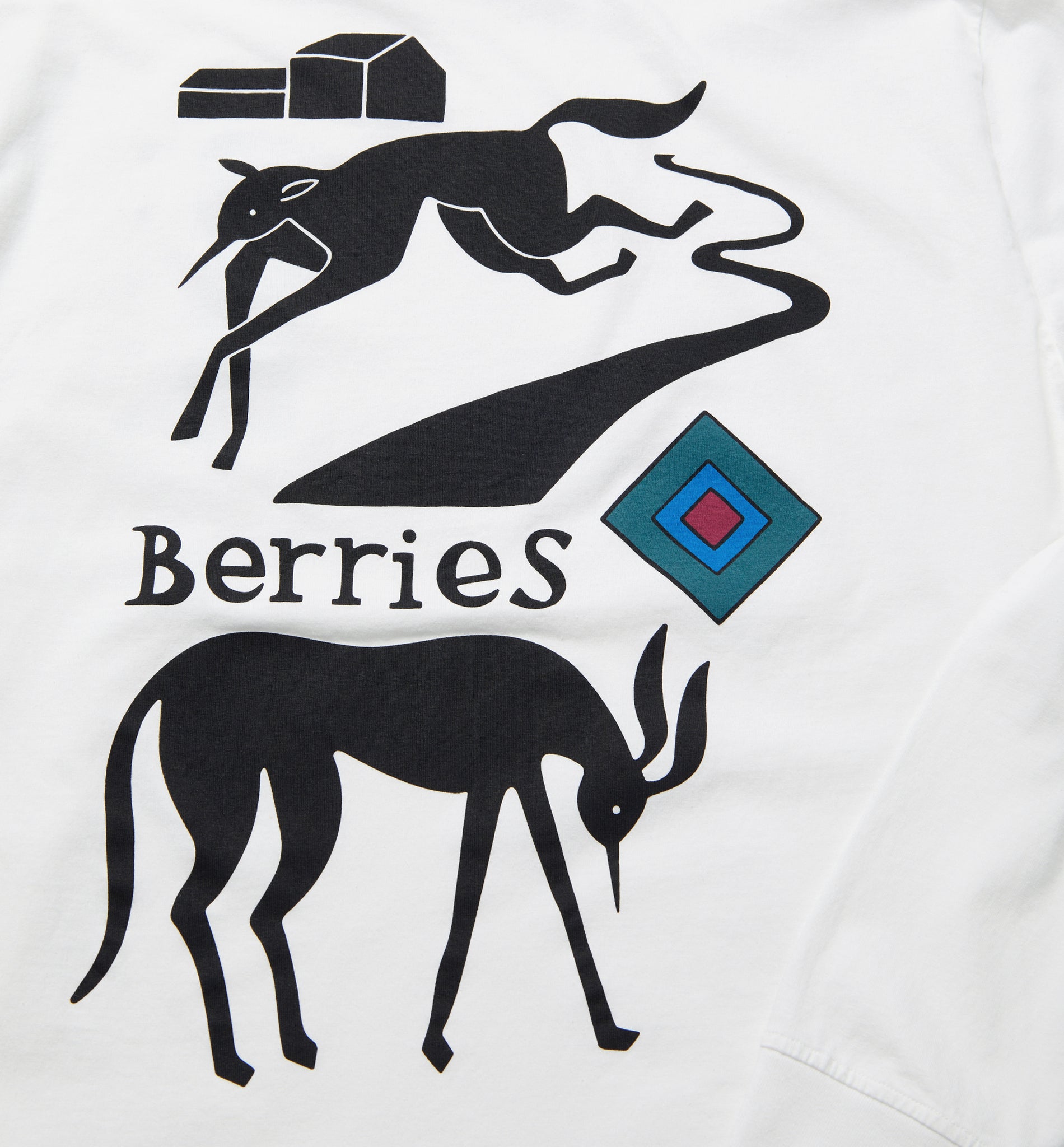 The Berry Farm Long Sleeve T-Shirt