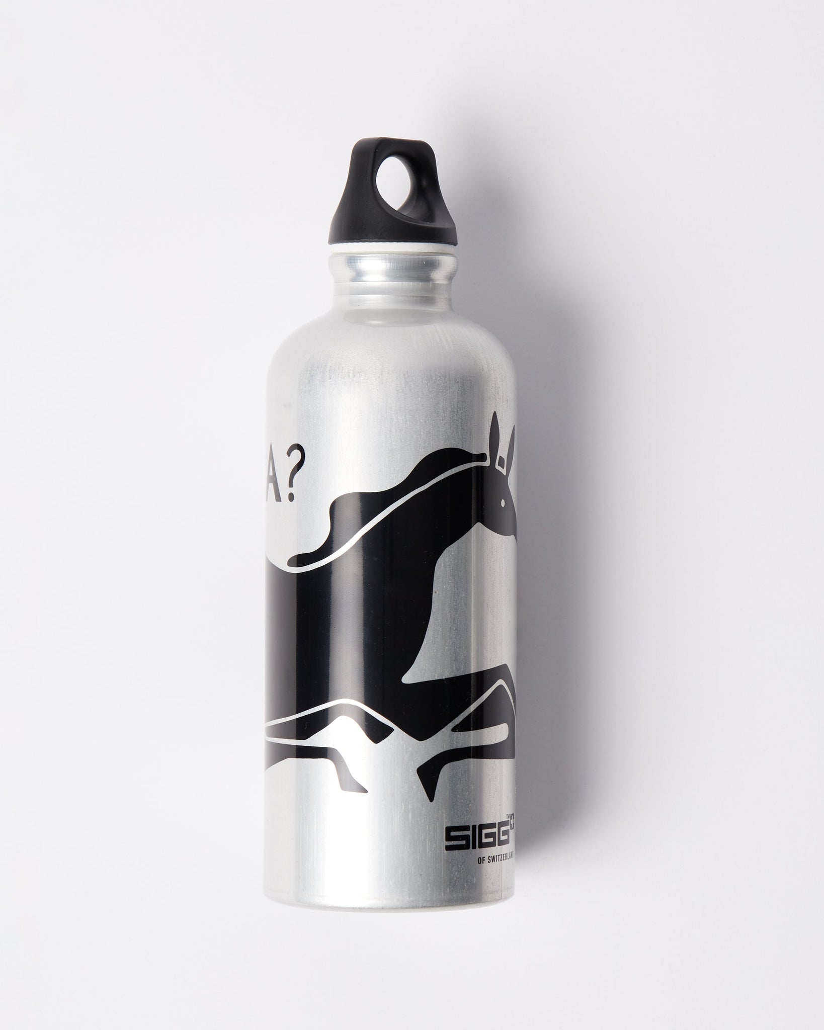 Horizontal horse SIGG bottle