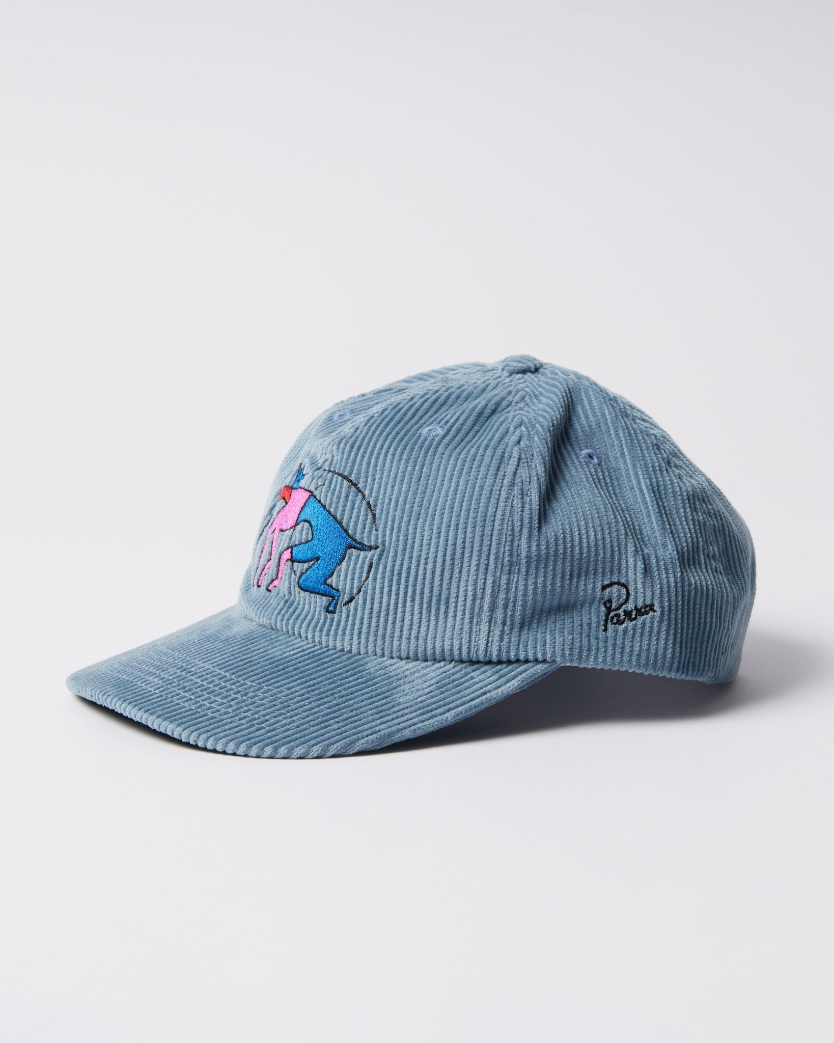 The zoomies 6 panel hat