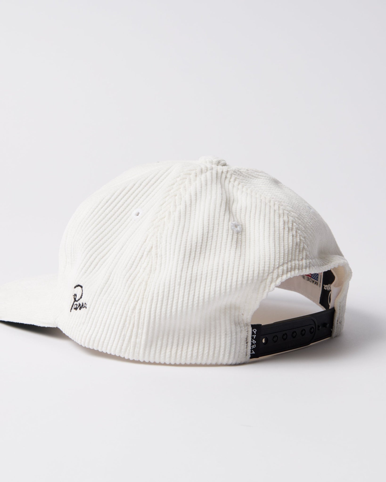 The zoomies 6 panel hat