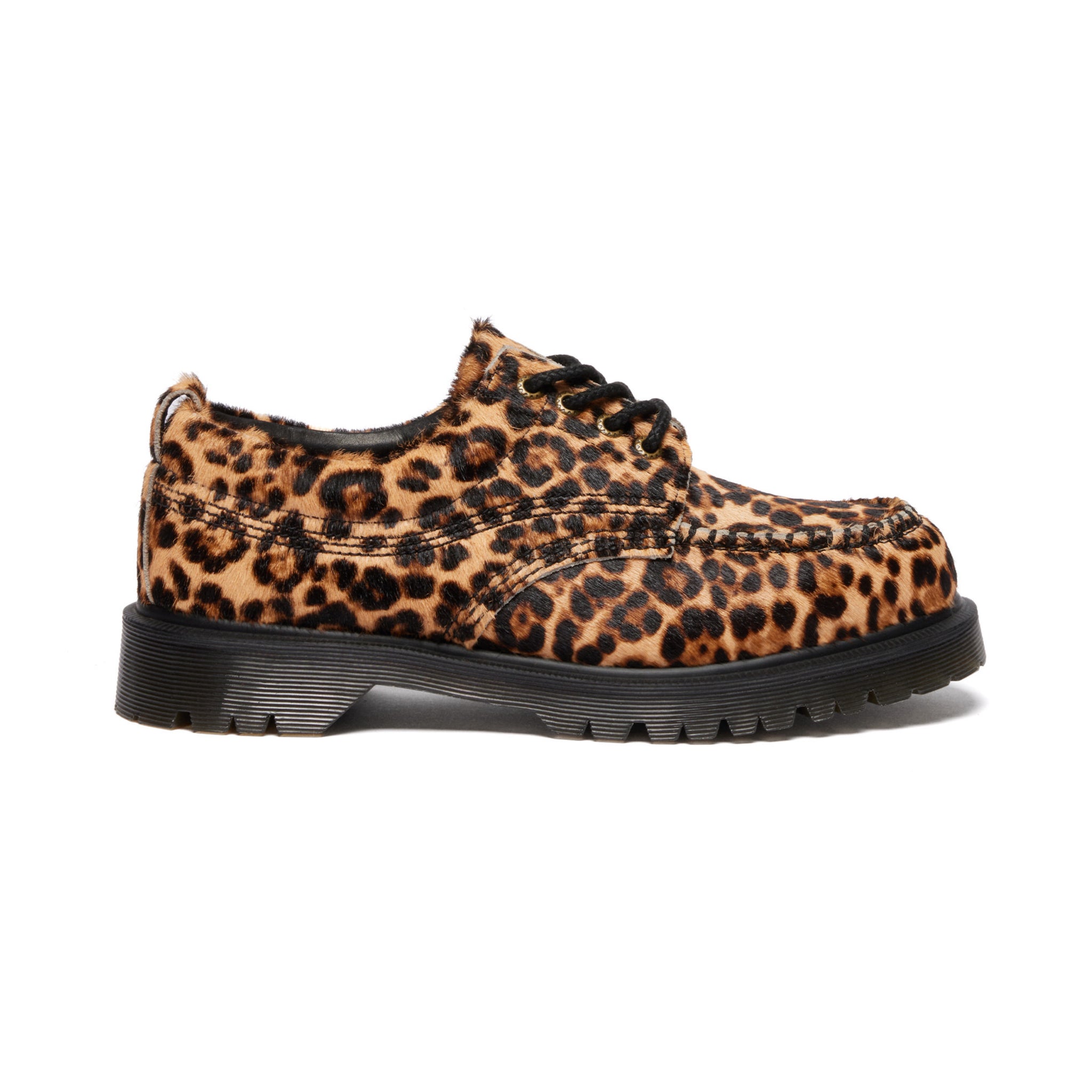 Lowell - Archive Leopard