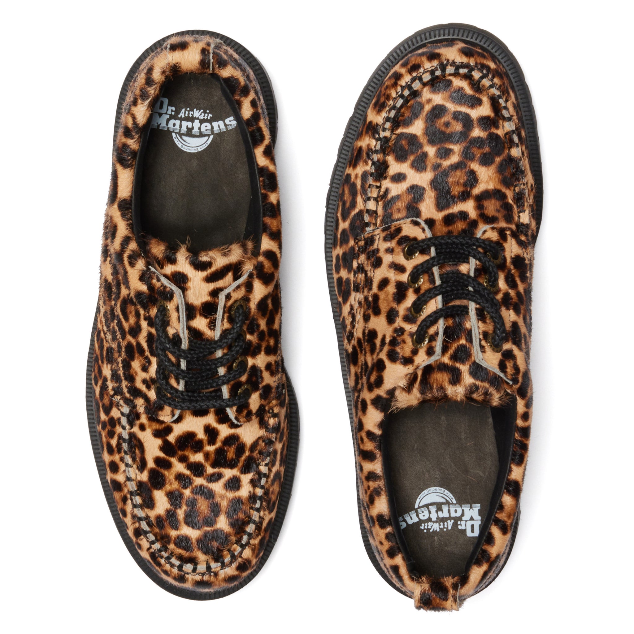 Lowell - Archive Leopard