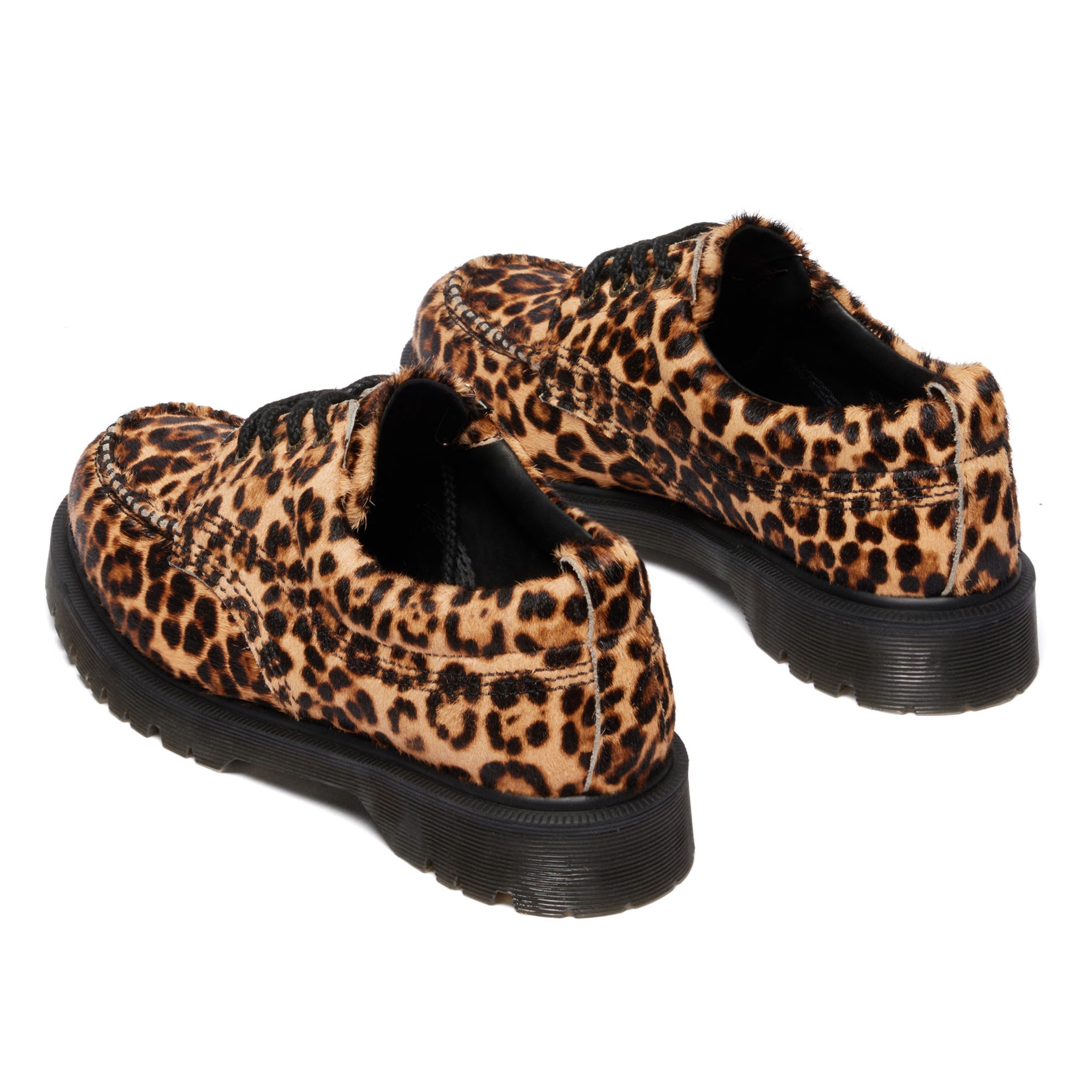 Lowell - Archive Leopard