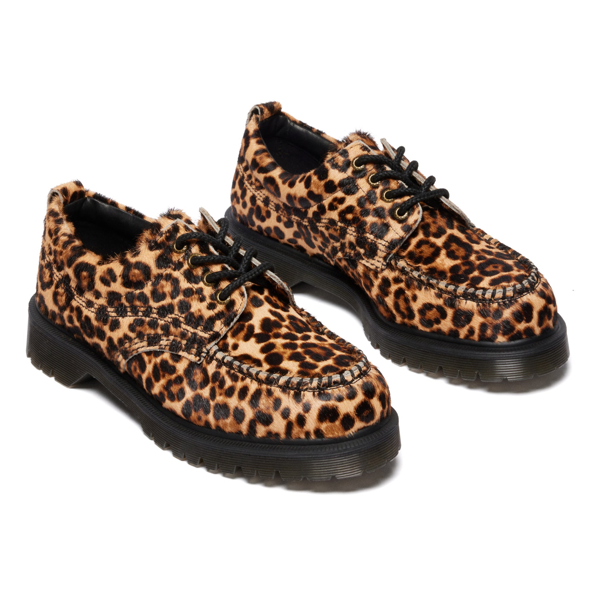 Lowell - Archive Leopard