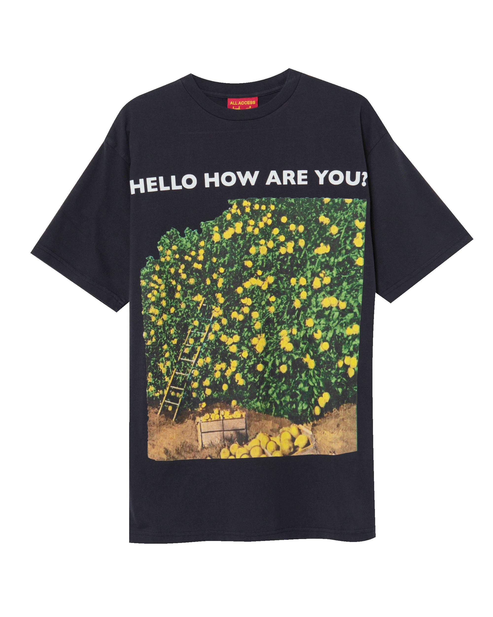 PUBLIC POSSESSION – VERY SPECIAL LA