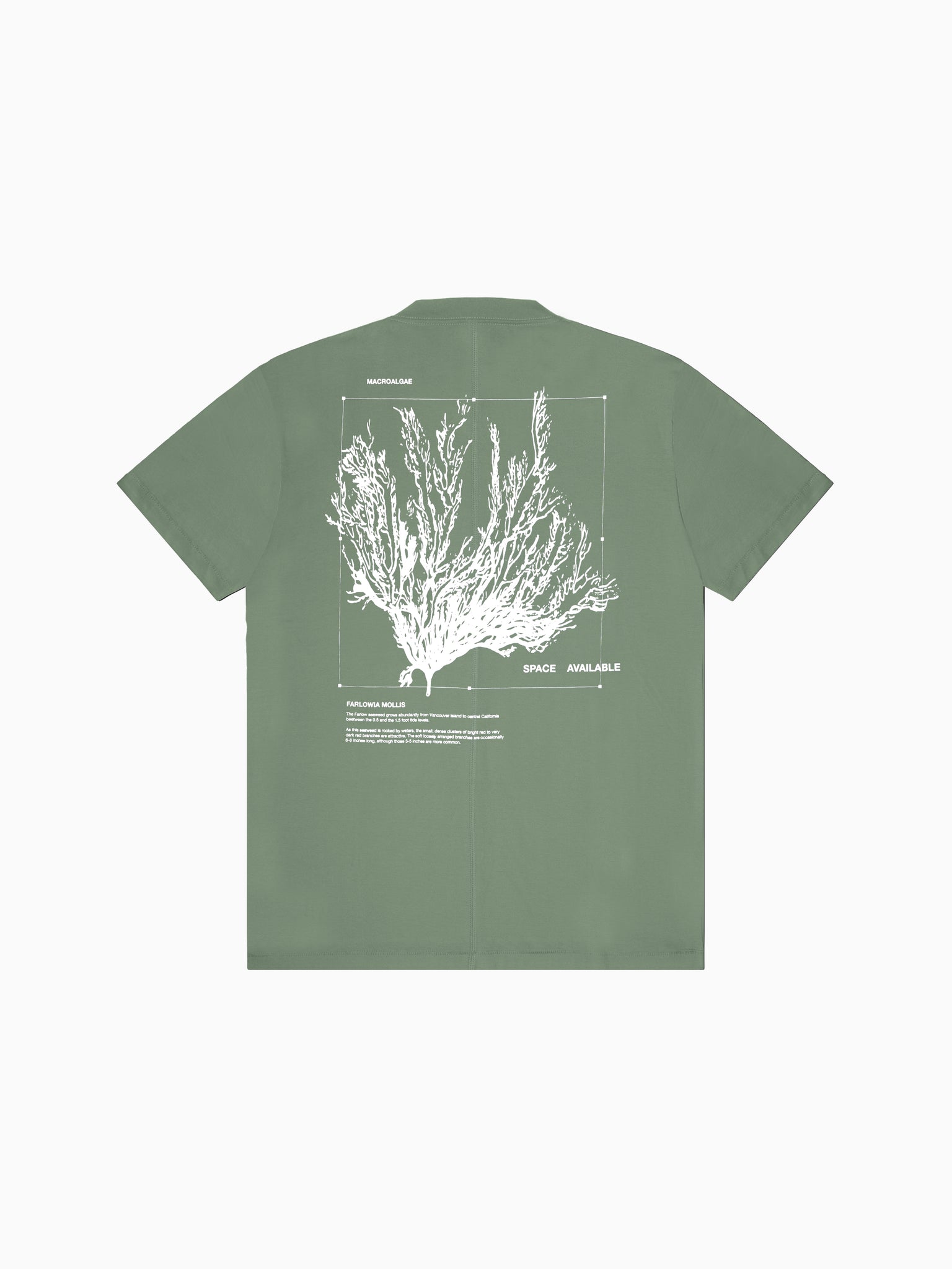 MACROALGAE STUDY TEE