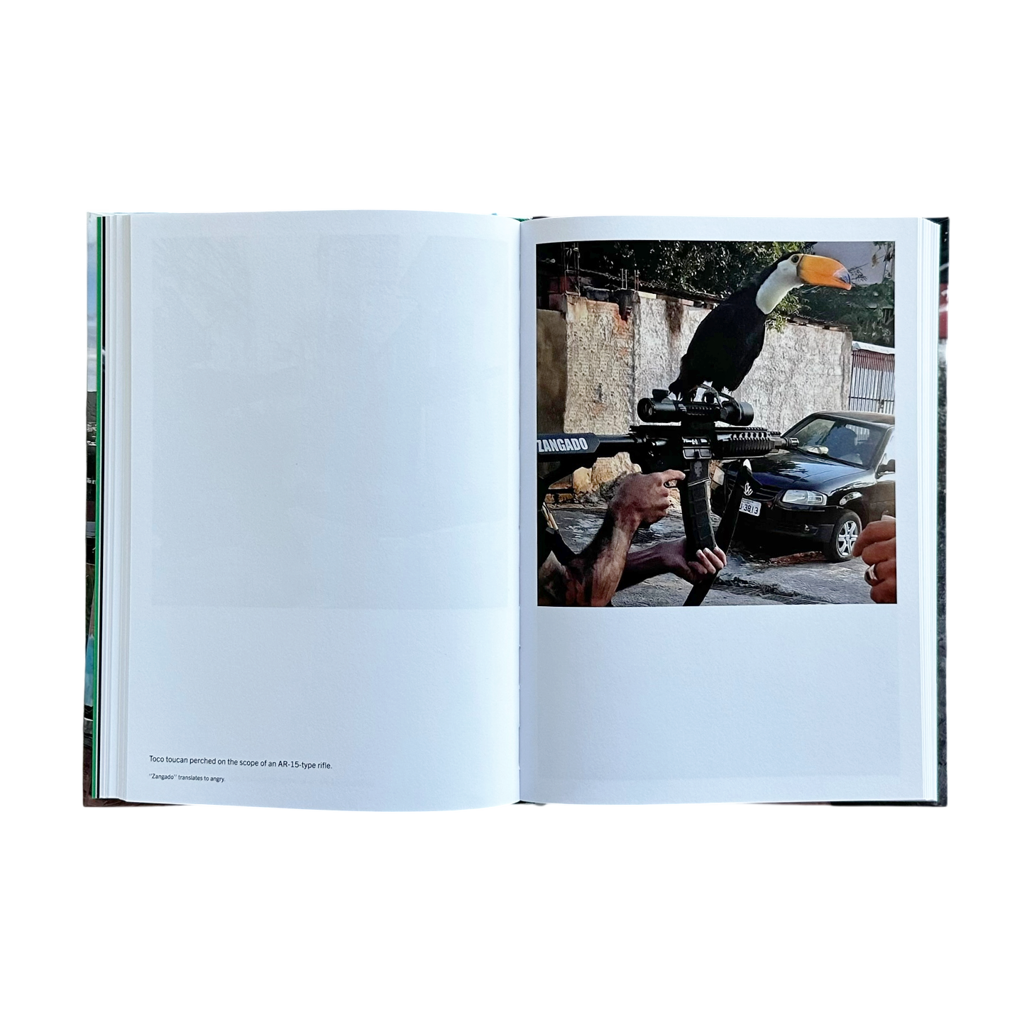 FAVELA NARCO PETS – VERY SPECIAL LA
