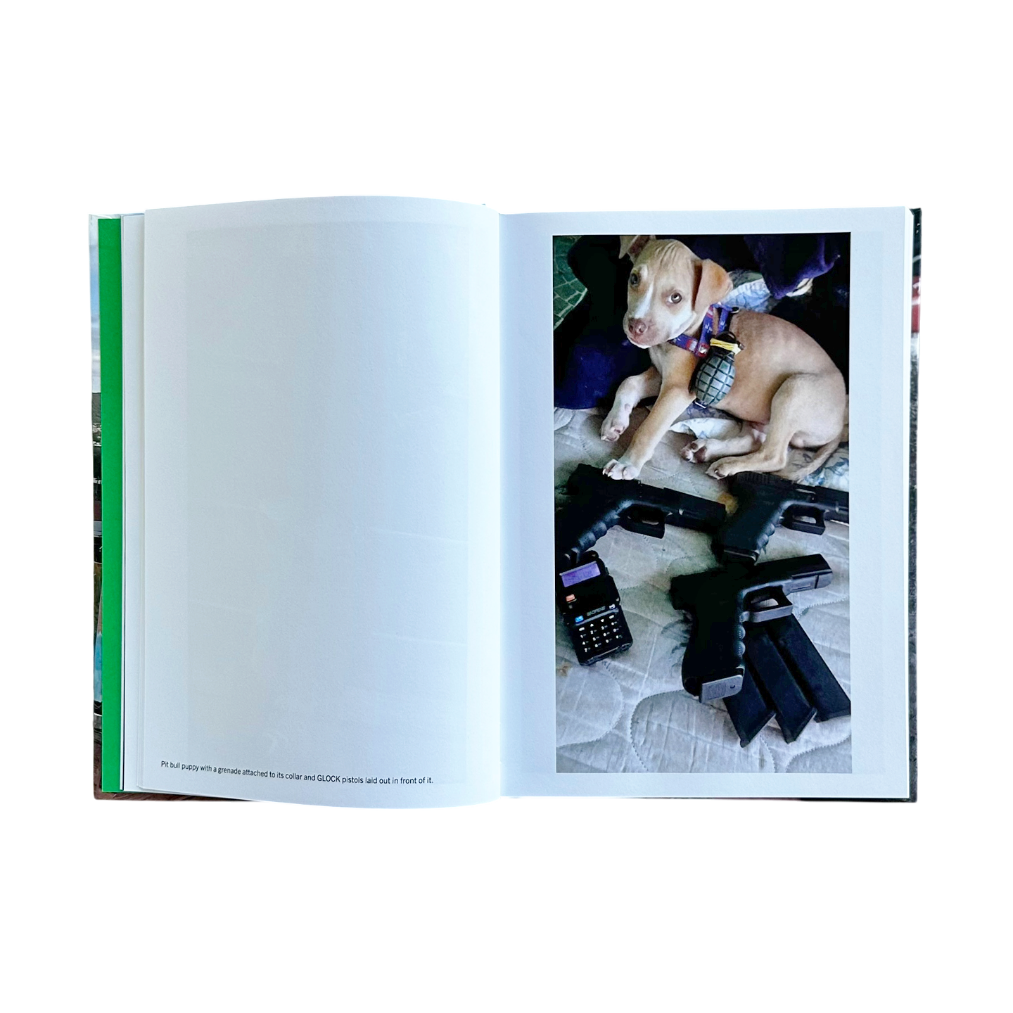 FAVELA NARCO PETS – VERY SPECIAL LA