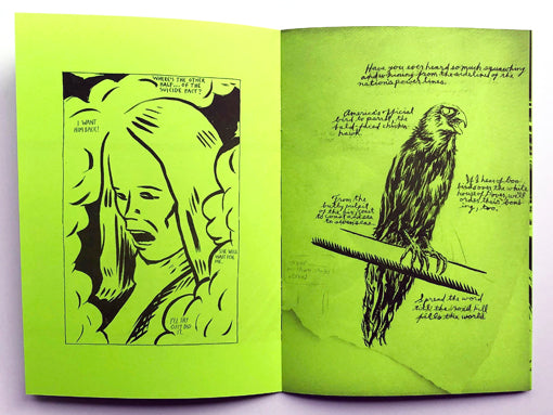 Raymond Pettibon - Selected Works From 1982 to 2011