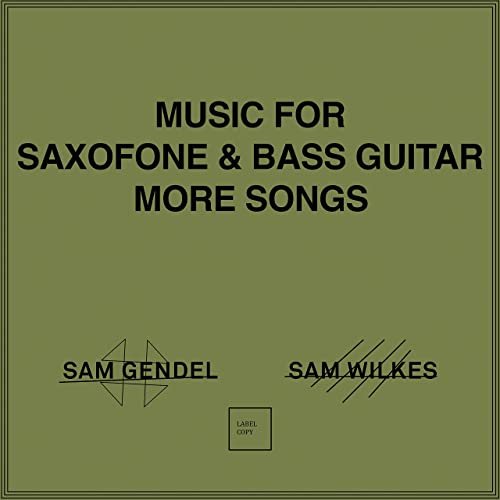 Sam Gendel & Sam Wilkes - Music For Saxofone & Bass Guitar More Songs