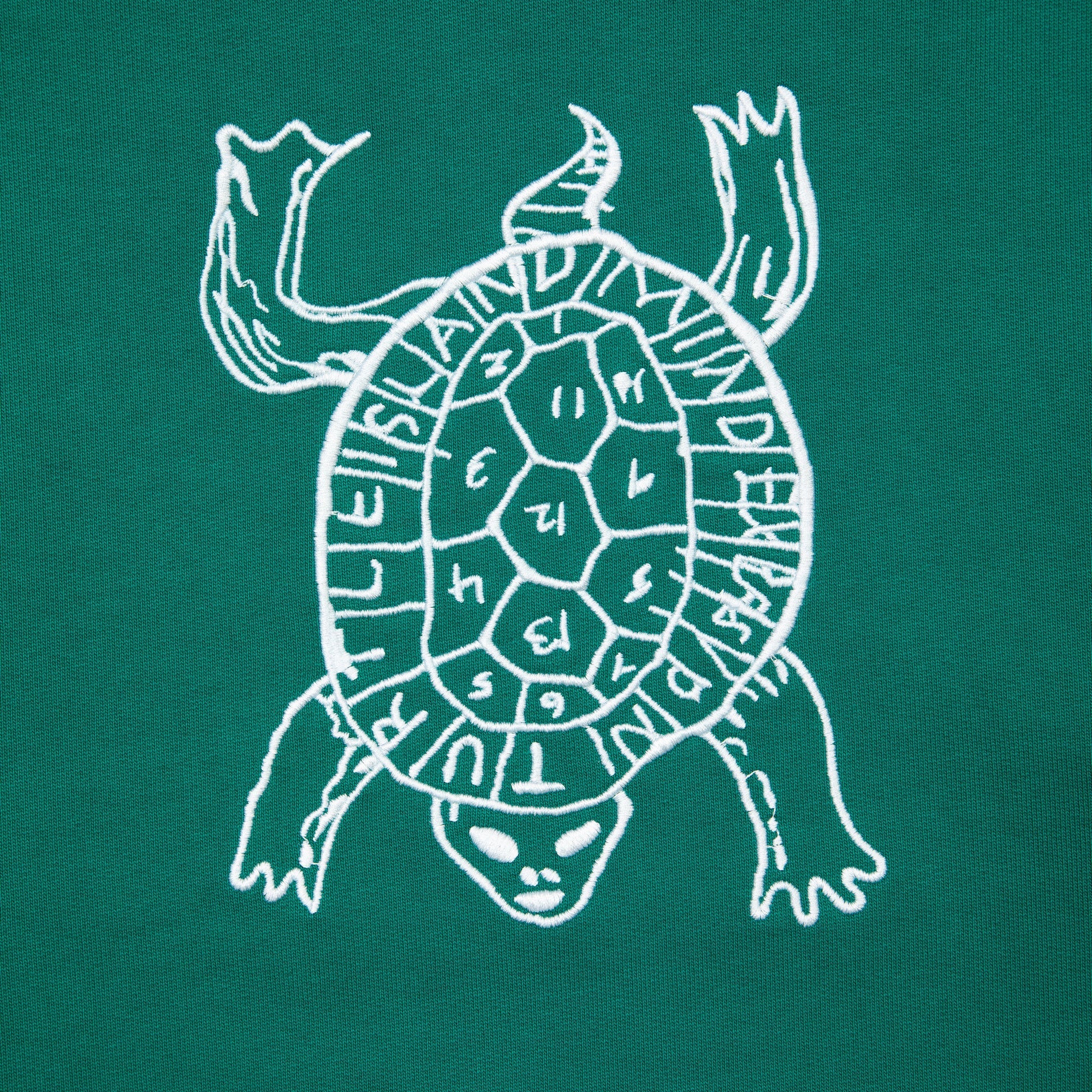 Mind Expansion Hoodie - Turtle Green